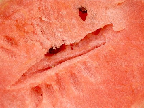 هندوانه میوه فروشی میوه تابستانی