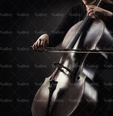 کلاس موسیقی آلات موسیقی ویالون