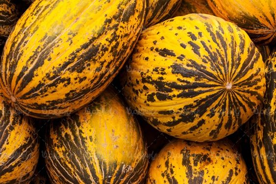 طالبی میوه فروشی سوپر میوه میوه سرا