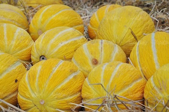 طالبی میوه فروشی سوپر میوه میوه سرا