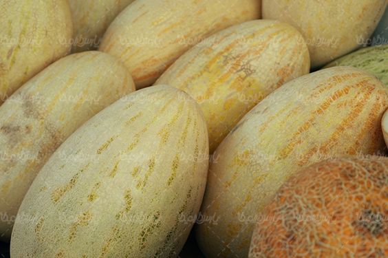 طالبی میوه فروشی سوپر میوه میوه سرا