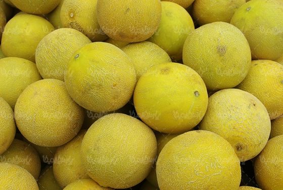 طالبی میوه فروشی سوپر میوه میوه سرا