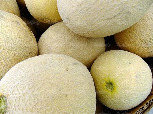 طالبی میوه فروشی سوپر میوه میوه سرا