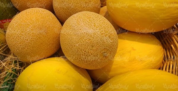 طالبی میوه فروشی سوپر میوه میوه سرا