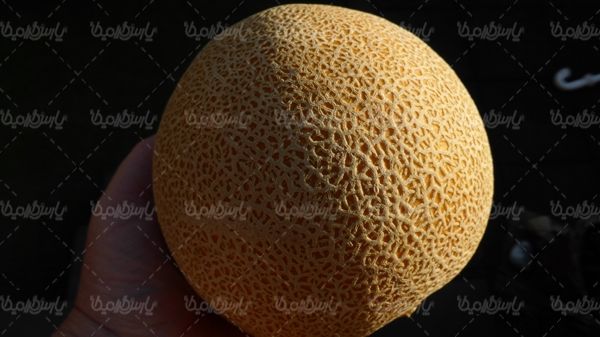 طالبی میوه فروشی سوپر میوه میوه سرا