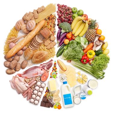 هرم غذایی مواد غذایی پروتئین روغن غلات