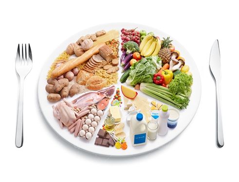 هرم غذایی مواد غذایی پروتئین روغن غلات