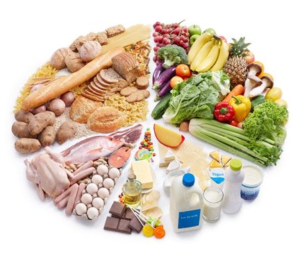 هرم غذایی مواد غذایی پروتئین روغن غلات