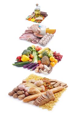 هرم غذایی مواد غذایی پروتئین روغن غلات