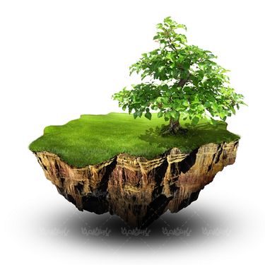 صخره درخت سبزه کره زمین