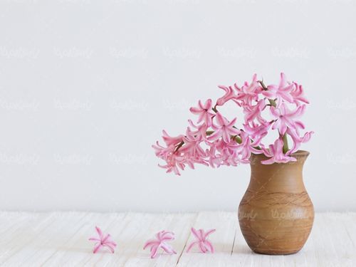 گلدان گلفروشی گل سنبل