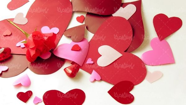 شاخه گل گلفروشی قلب مقوایی