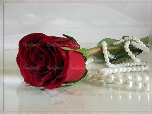 گل سفید گردنبند مروارید جشن عروسی