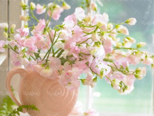 گل طبیعی گلفروشی گالری گل و گیاه