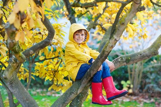 پاییز منظره چشم انداز  طبیعت پاییزی
