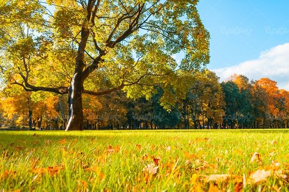 پاییز منظره چشم انداز  طبیعت پاییزی