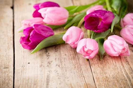 گلفروشی گل طبیعی گالری گل و گیاه