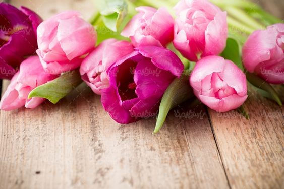 گلفروشی گل طبیعی گالری گل و گیاه