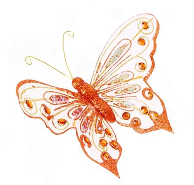پروانه رنگی پروانه گرافیکی گل سر
