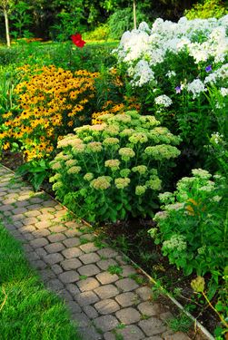 پارک فضای سبز خانه ویلایی