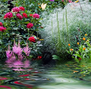 پارک فضای سبز خانه ویلایی