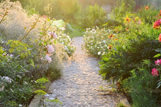 پارک فضای سبز خانه ویلایی