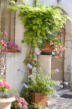 پارک فضای سبز خانه ویلایی