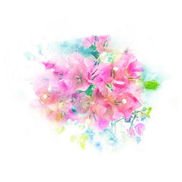 دسته گل گلفروشی گالری گل و گیاه