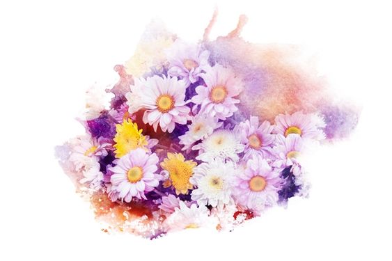 دسته گل گلفروشی گالری گل و گیاه