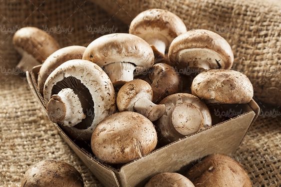 قارچ میوه فروشی سوپر میوه پرورش قارچ