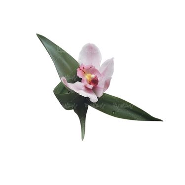 شاخه گل گلفروشی گالری گل و گیاه