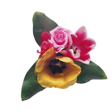 شاخه گل گلفروشی گالری گل و گیاه