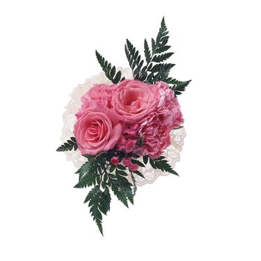 شاخه گل گلفروشی گالری گل و گیاه