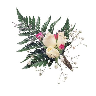 شاخه گل گلفروشی گالری گل و گیاه