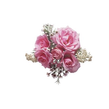 شاخه گل گلفروشی گالری گل و گیاه