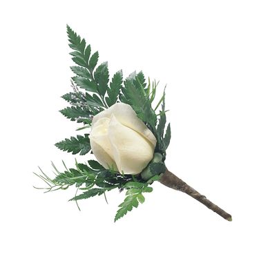 شاخه گل گلفروشی گالری گل و گیاه