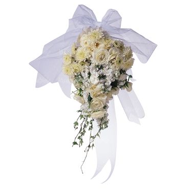 شاخه گل گلفروشی گالری گل و گیاه