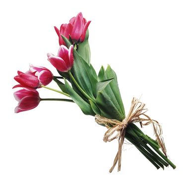 شاخه گل گلفروشی گالری گل و گیاه
