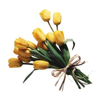 شاخه گل گلفروشی گالری گل و گیاه