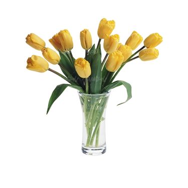 شاخه گل گلفروشی گالری گل و گیاه