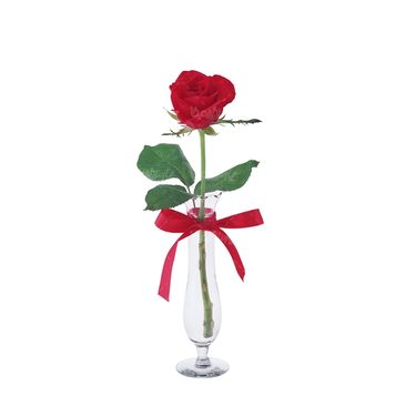 شاخه گل گلفروشی گالری گل و گیاه