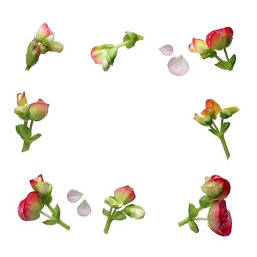 شاخه گل گلفروشی گالری گل و گیاه