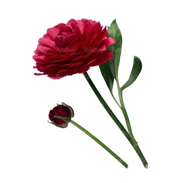 شاخه گل گلفروشی گالری گل و گیاه