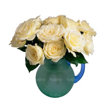 شاخه گل گلفروشی گالری گل و گیاه