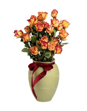 شاخه گل گلفروشی گالری گل و گیاه