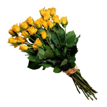 شاخه گل گلفروشی گالری گل و گیاه