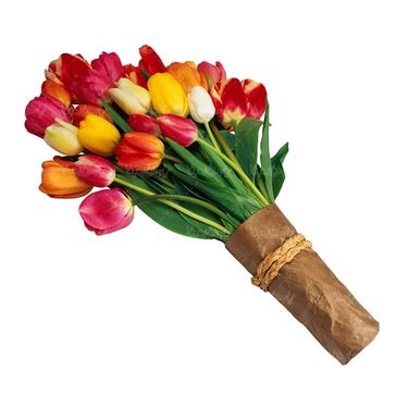 شاخه گل گلفروشی گالری گل و گیاه