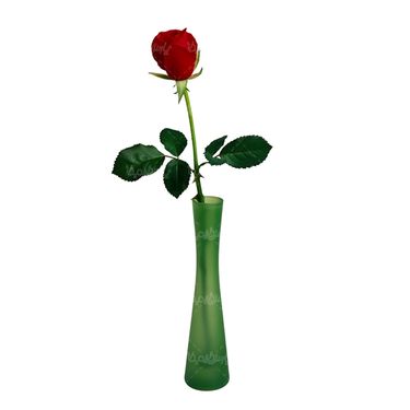 شاخه گل گلفروشی گالری گل و گیاه