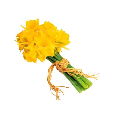 شاخه گل گلفروشی گالری گل و گیاه