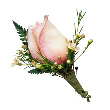 شاخه گل گلفروشی گالری گل و گیاه